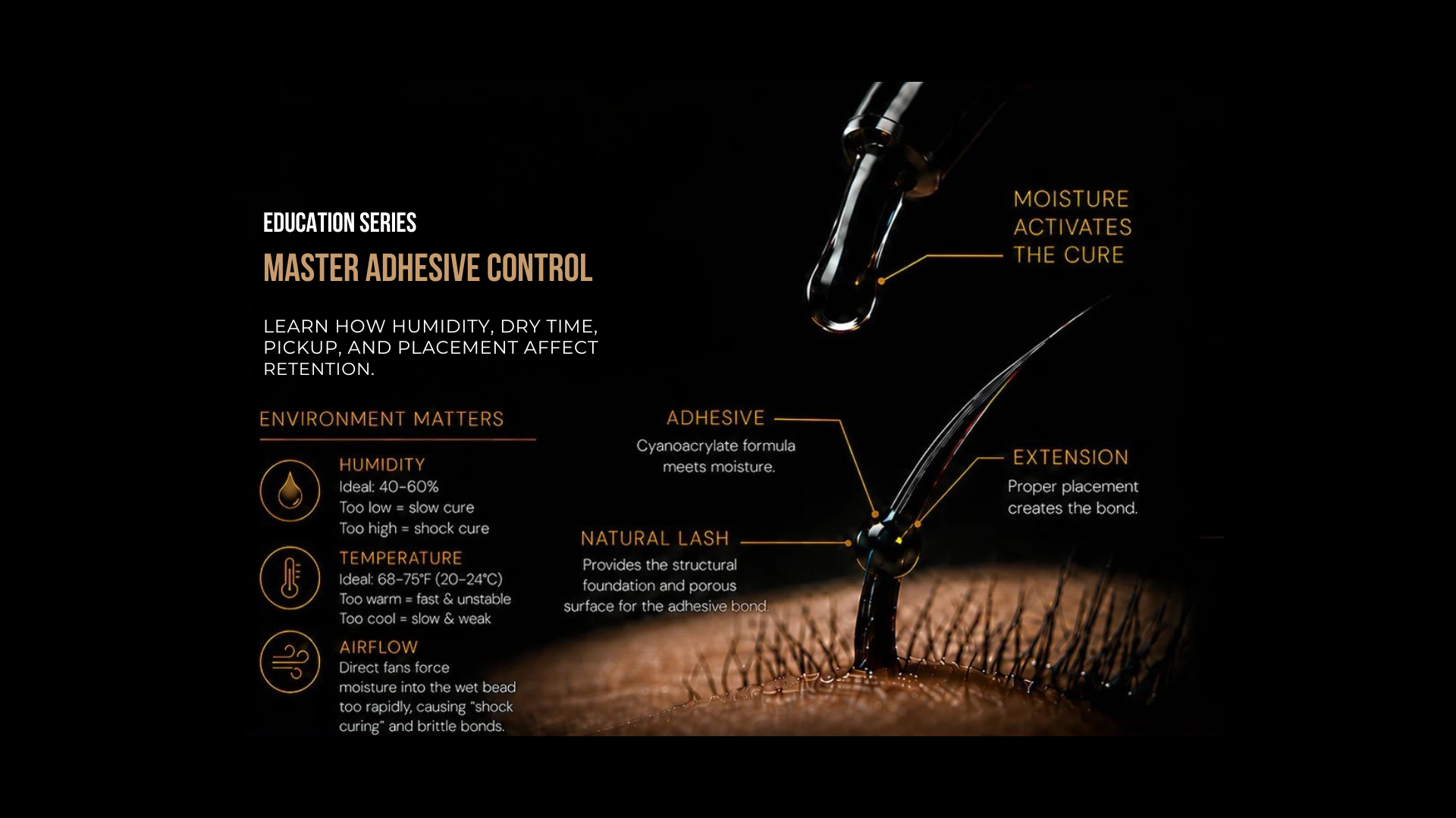 NikkiLash lash artist education desktop hero banner about adhesive control, humidity, dry time, placement, and retention.